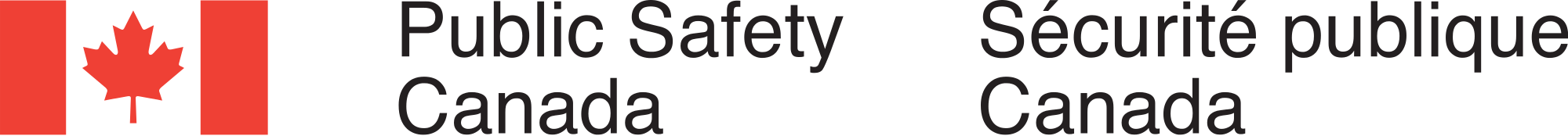 Cyber Review Consultations Report