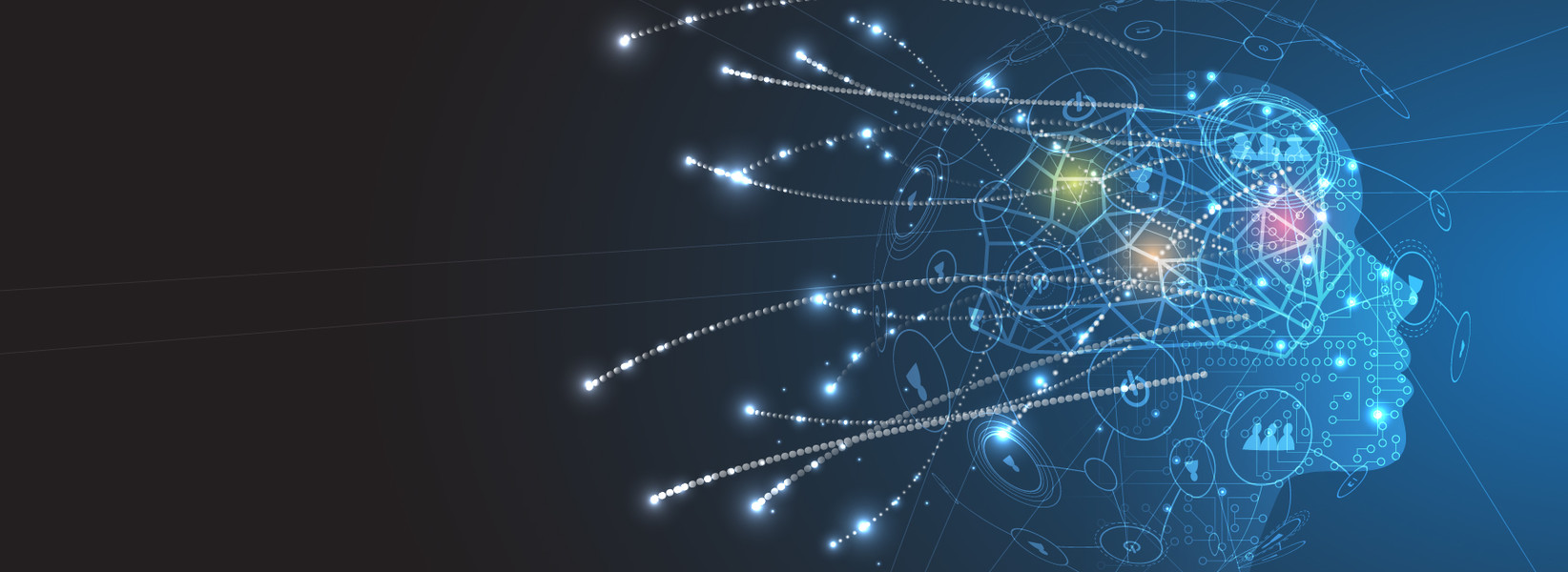 Artificial Intelligence and Privacy: What About?